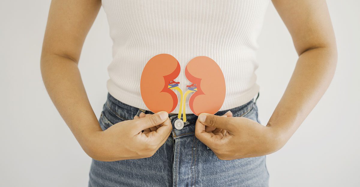 Woman-holding-kidney-illustration-in-front-of-abdomen Woman-holding-kidney-illustration-in-front-of-abdomen